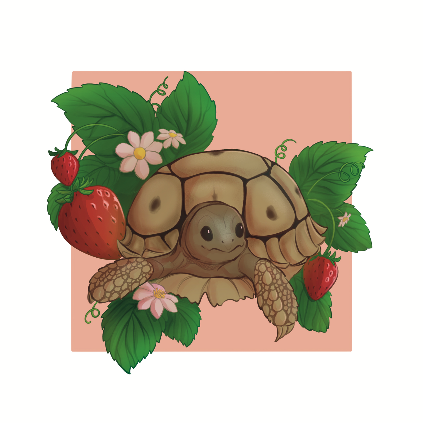 Strawberry Sulcata Art Print