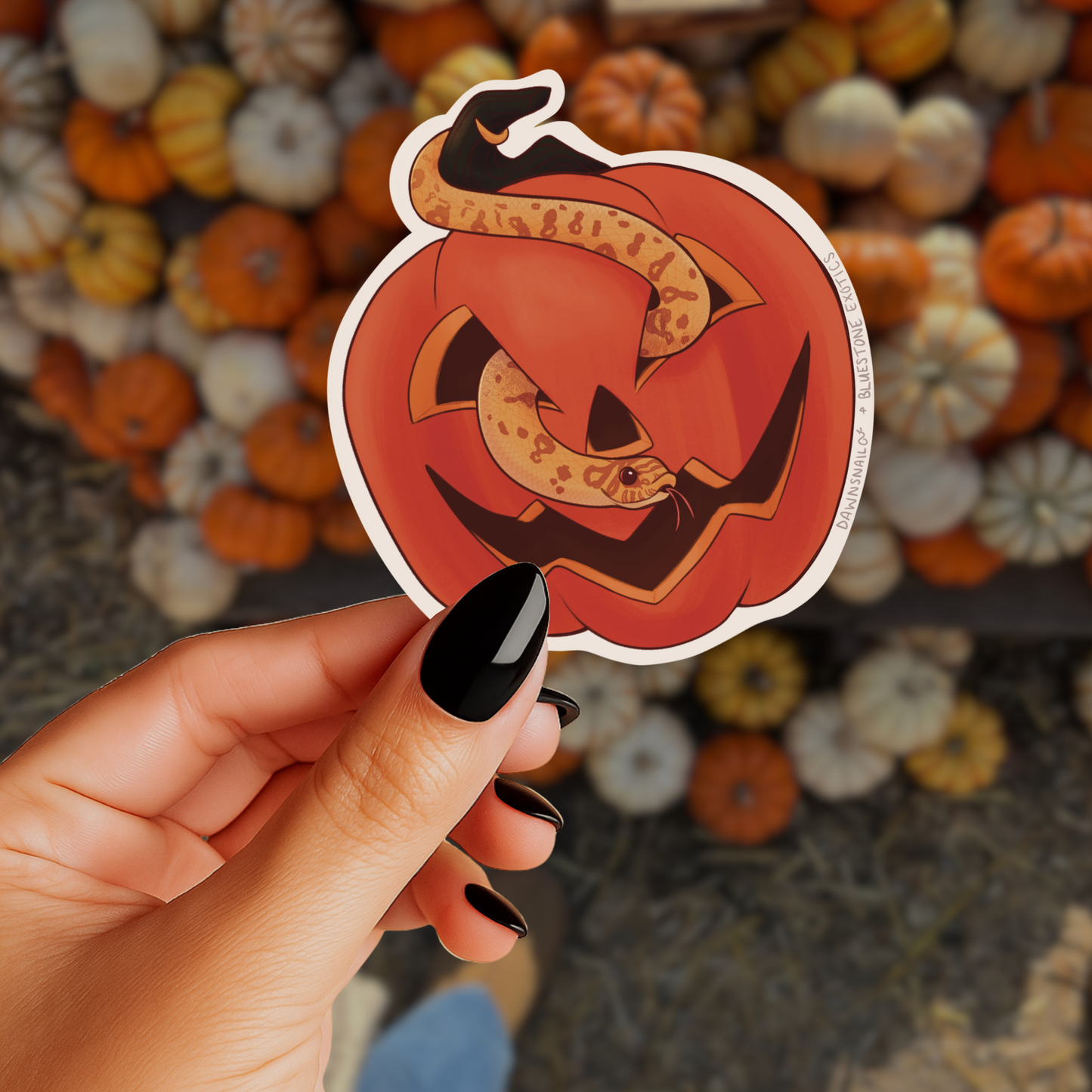 Pumpkin Snake Sticker