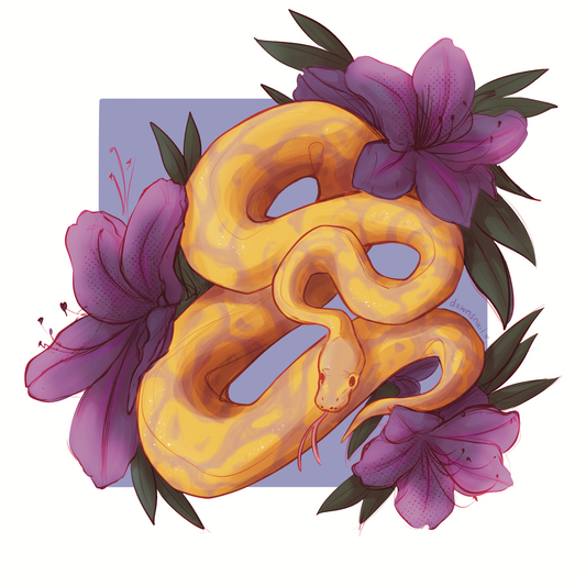 Iris Ball Python Art Print